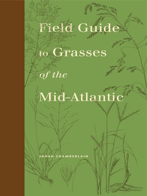cover image of Field Guide to Grasses of the Mid-Atlantic